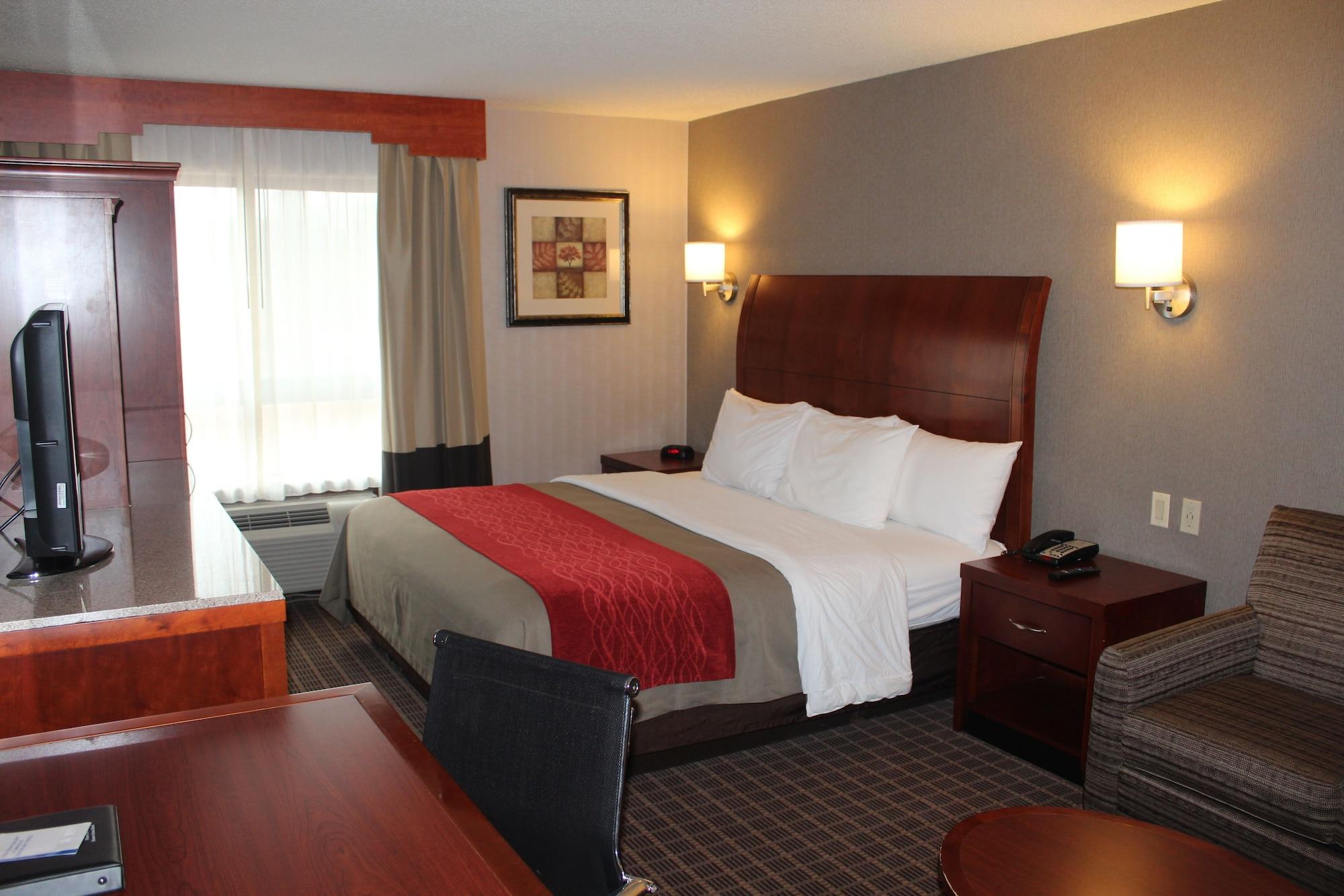 Comfort Inn&Suites West Springfield Exterior foto